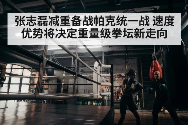 张志磊减重备战帕克统一战 速度优势将决定重量级拳坛新走向